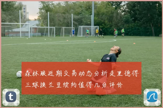 森林狼近期交易动态分析走里德得三球换兰豆续约值得几分评价