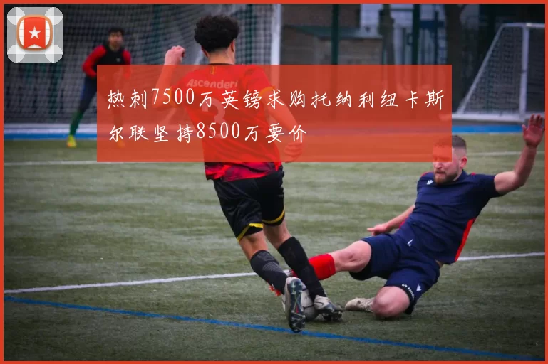热刺7500万英镑求购托纳利纽卡斯尔联坚持8500万要价